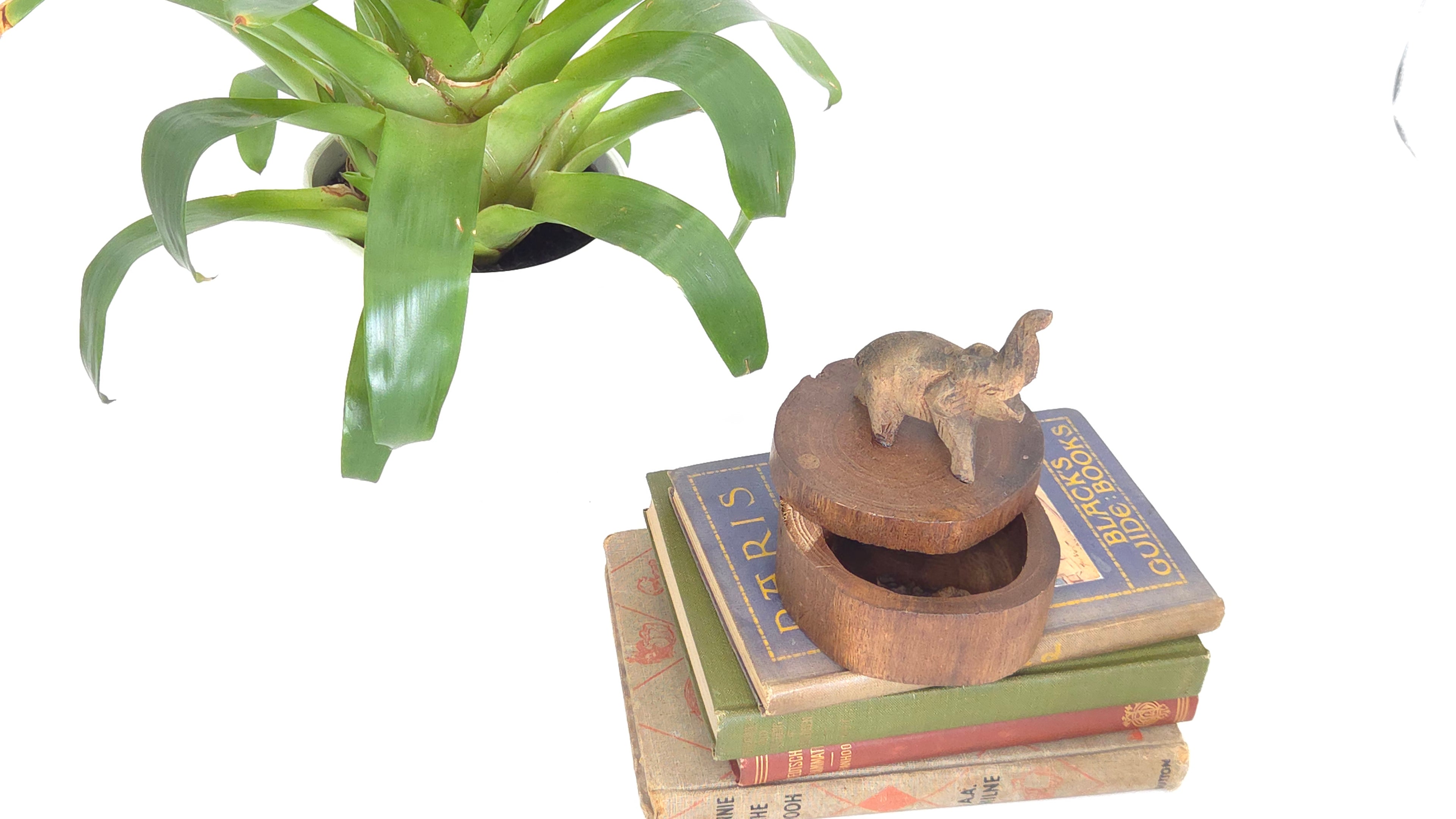 Handcrafted Wooden Elephant Boxes