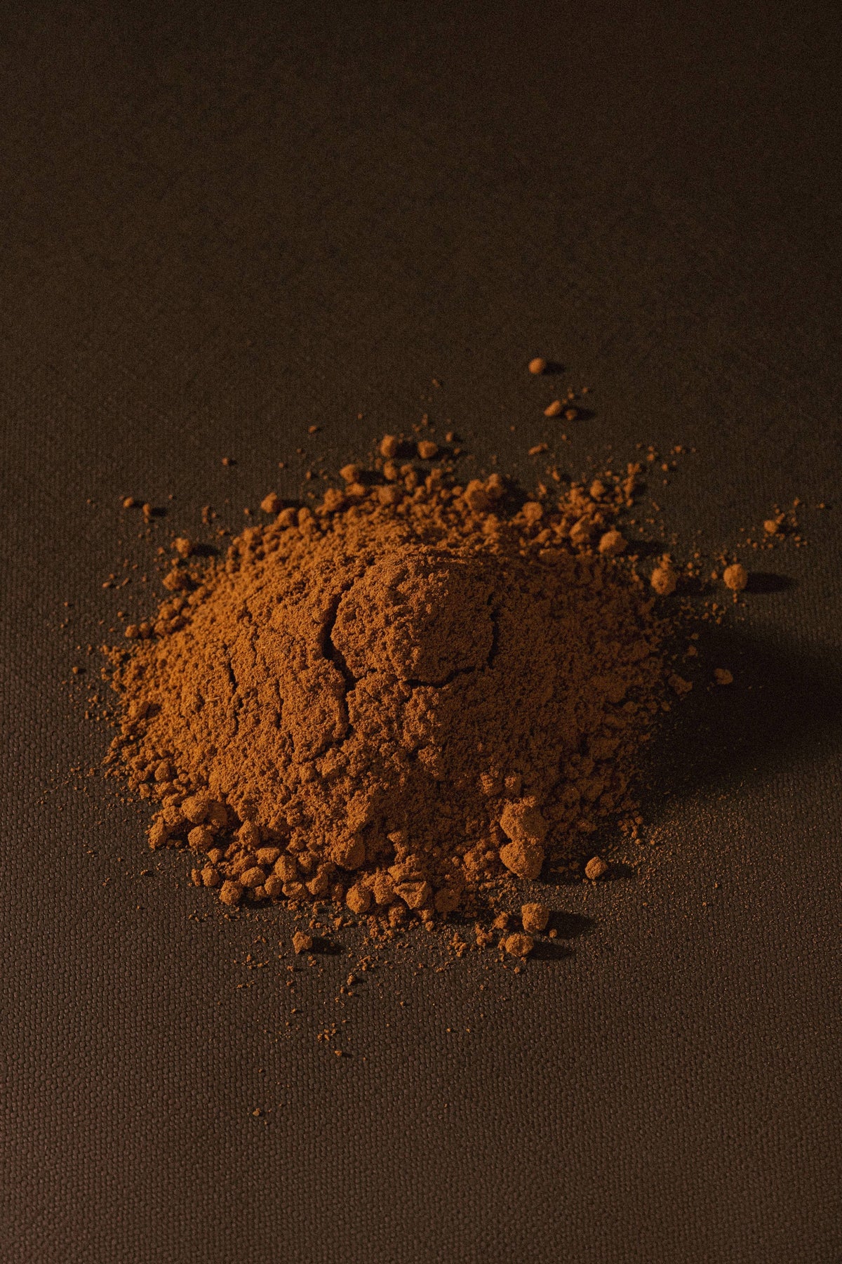 Chocolate Cinnamon Cayenne Cookies - Oaxaca
